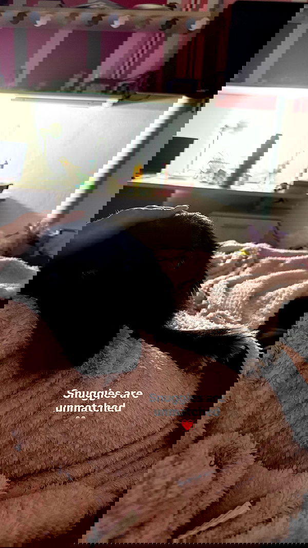 bakedsloths bakedsloths archive image