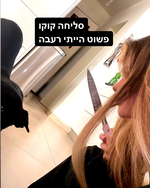 liliashaked instagram image archive image