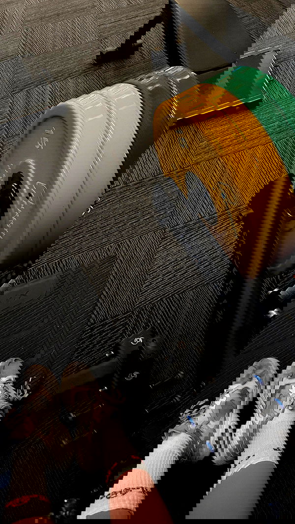 bakedsloths bakedsloths archive image