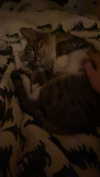 olivia.bolgerr Altpins Profile Picture