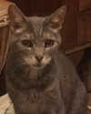 jahia_brown Altpins Profile Picture