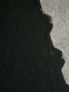 kimberr_0000 Altpins Profile Picture
