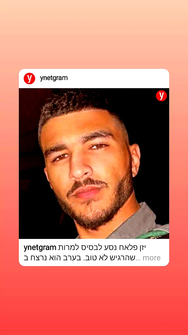 nikolpeleg instagram image archive image