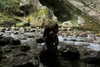 vvelum_ Altpins Profile Picture
