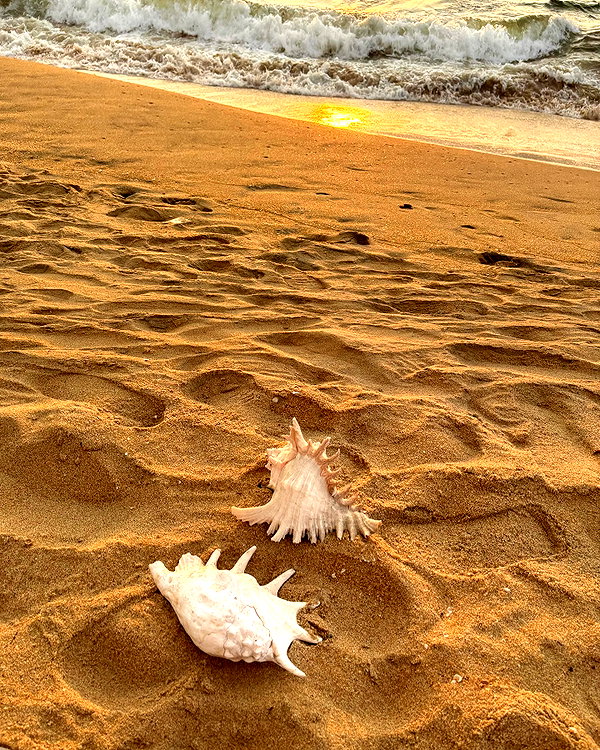 biancanataliie instagram image archive image