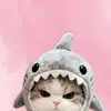 tokyo.shi Altpins Profile Picture