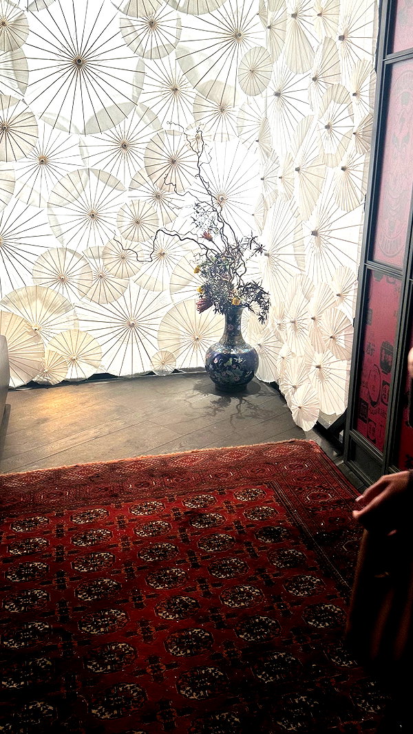 avestanova instagram image archive image
