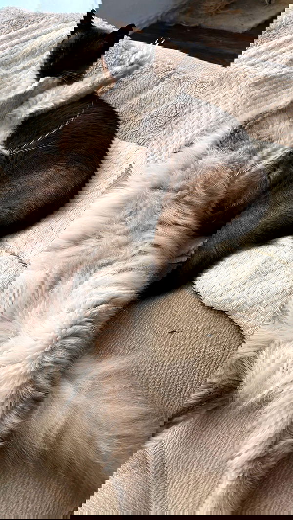 laluzone laluzone archive image