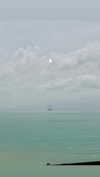 darkstar_mia Altpins Profile Picture