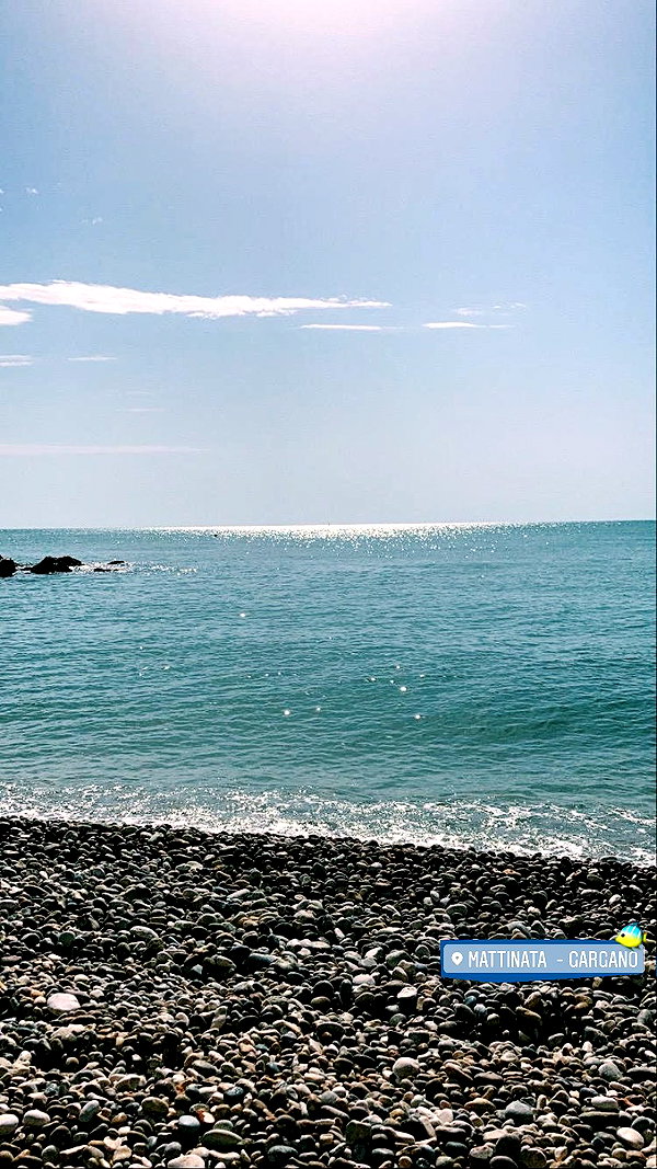 federica.piccinni instagram image archive image