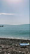 federica.piccinni Altpins Profile Picture