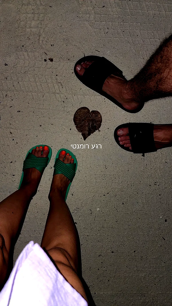barzomer instagram image archive image