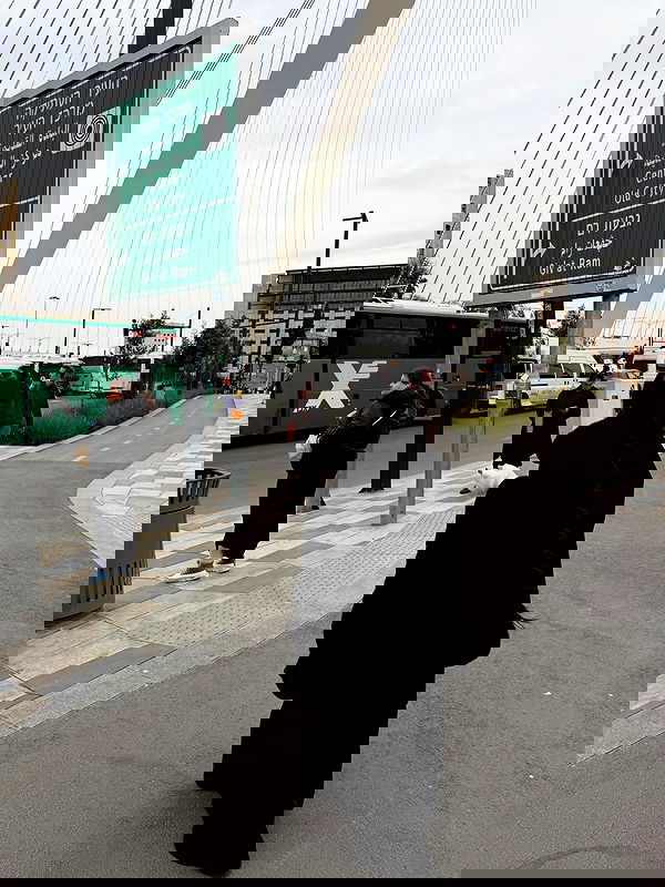 strawberryshanz strawberryshanz archive image