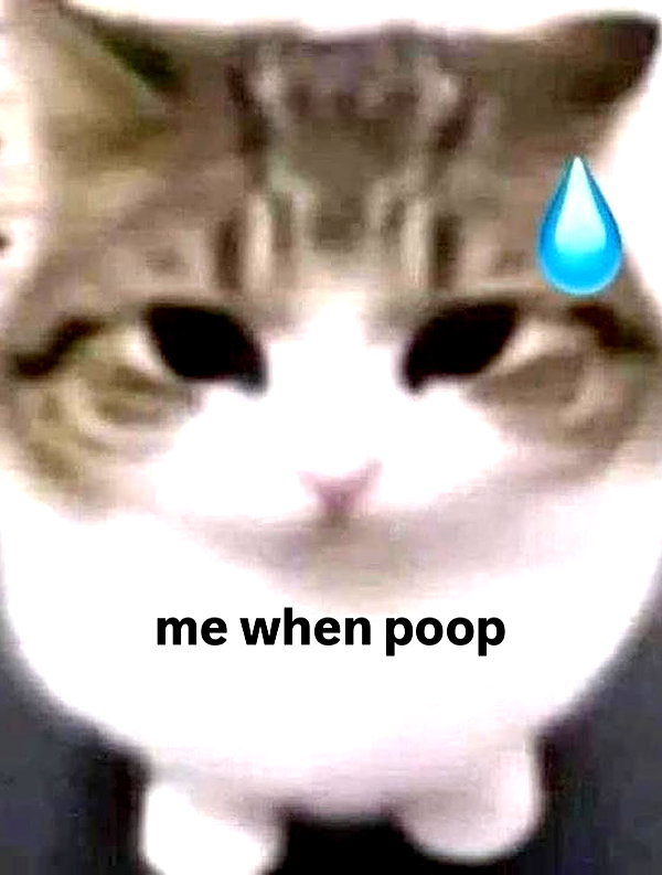 milkibunshehe instagram image archive image