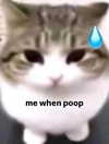 milkibunshehe Altpins Profile Picture