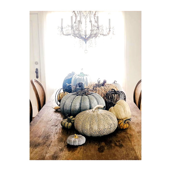 sashapieterse instagram image archive image