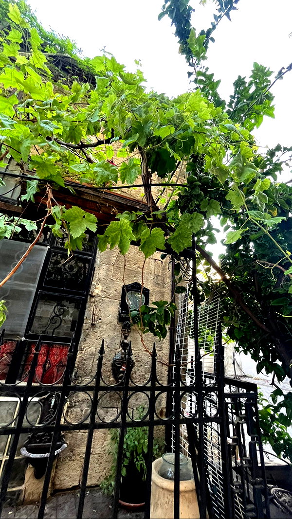 yaelxyazdi instagram image archive image