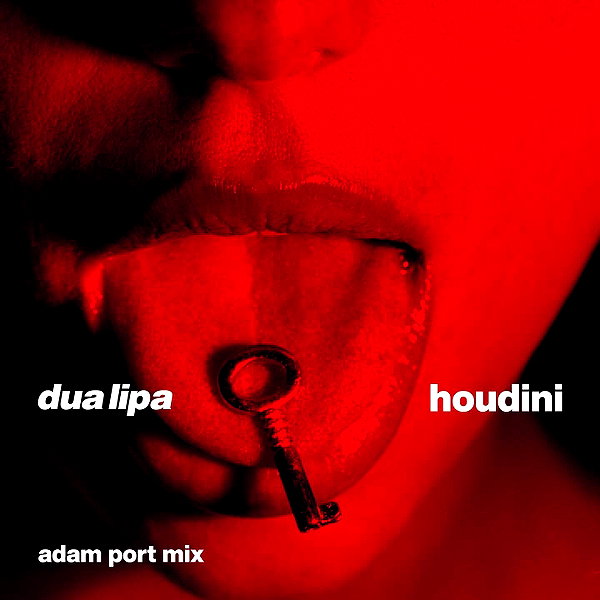 dualipa instagram image archive image