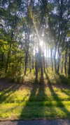 olivia.bolgerr Altpins Profile Picture