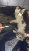 m1ry2m_ Altpins Profile Picture