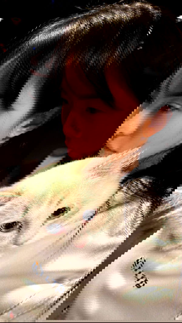 minaxash minaxash archive image