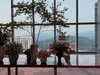 cialikechia Altpins Profile Picture