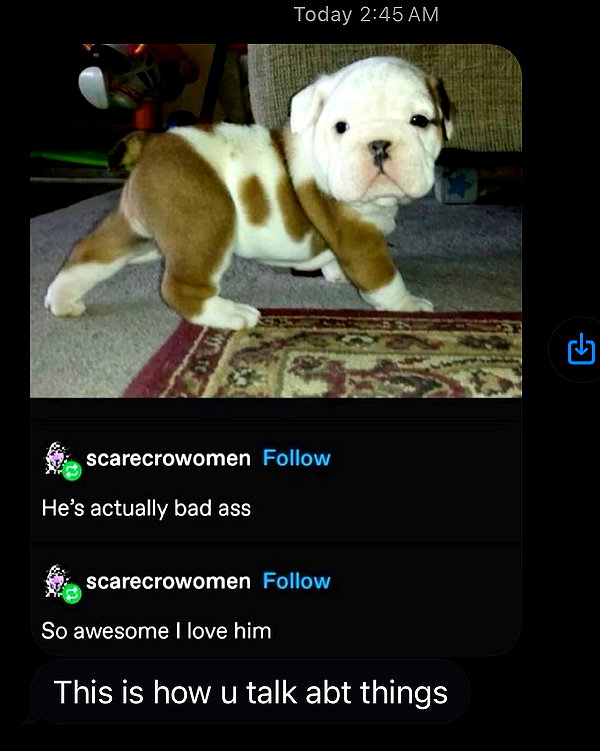 tatumchurch instagram image archive image