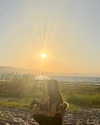 yaarat11 Altpins Profile Picture