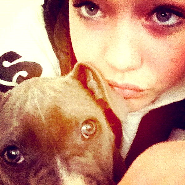gigihadid instagram image archive image