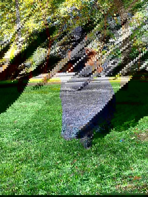 strawberryshanz strawberryshanz archive image