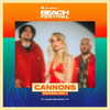 cannonstheband Altpins Profile Picture