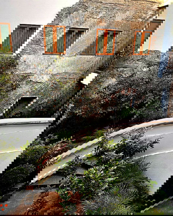 taylor.creeden taylor.creeden archive image