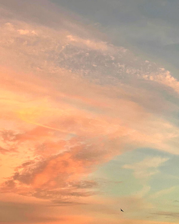 sullivang_ instagram image archive image