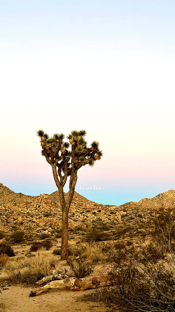 allie_dunn instagram image archive image