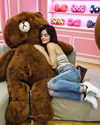 lucyhale Altpins Profile Picture