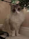 catl0verr69 Altpins Profile Picture
