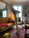 elizabethcampbelljones Altpins Profile Picture
