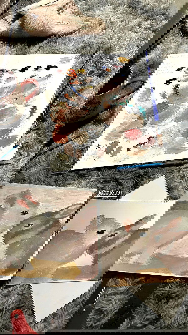 lovemeize lovemeize archive image