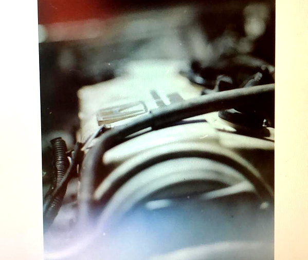 eitan.420 instagram image archive image