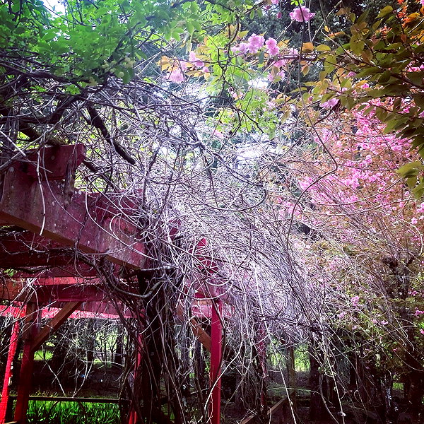caterpiekae instagram image archive image