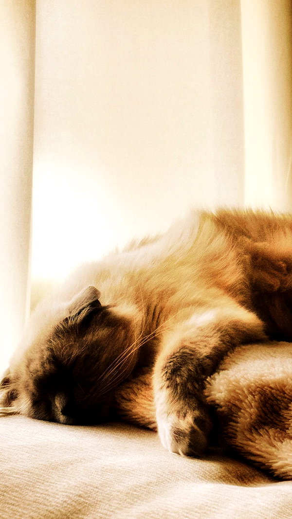 laluzone instagram image archive image