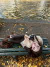 fair_mua Altpins Profile Picture