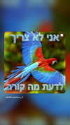eva.6stuma.com6 Altpins Profile Picture