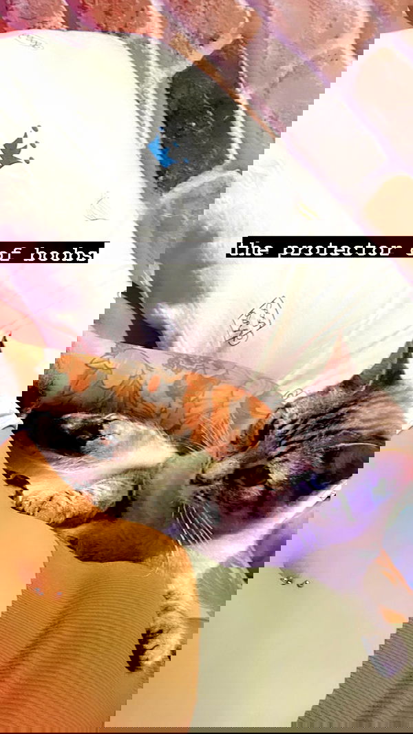 suikomuu suikomuu archive image