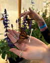 lynibean Altpins Profile Picture