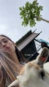 shir.davida6 Altpins Profile Picture