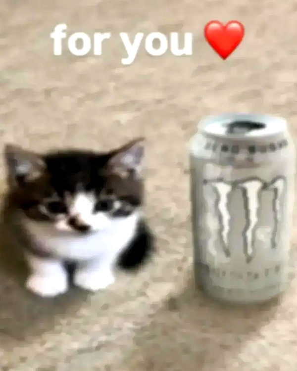 ellaexplicit_ instagram image archive image