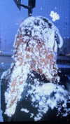 carmexan Altpins Profile Picture