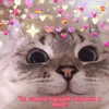 glowmoonshorty Altpins Profile Picture