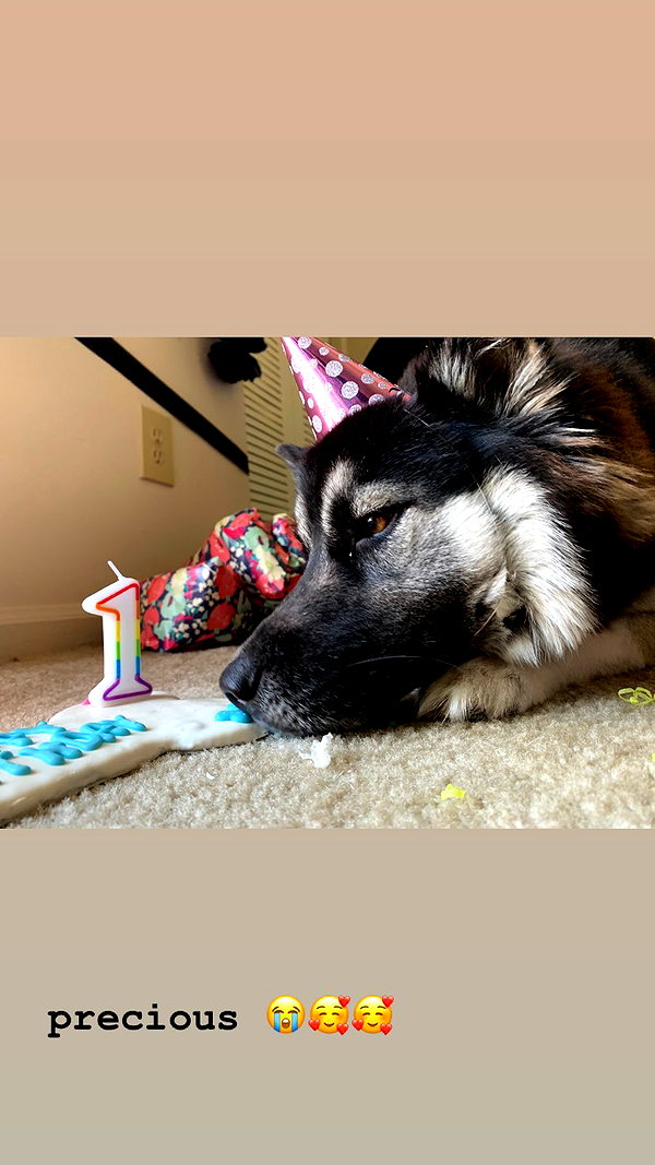 m0rguekittyy instagram image archive image